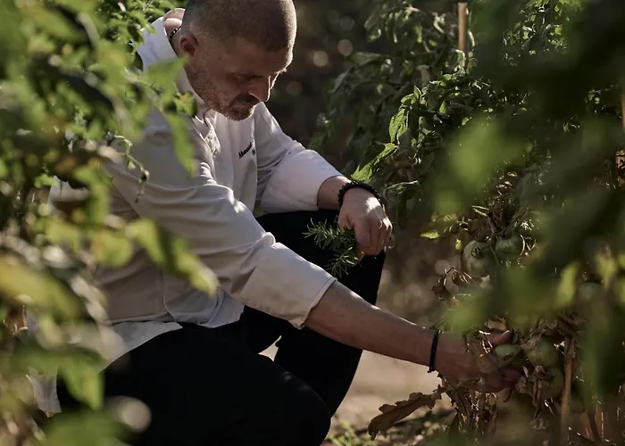 Celestial Hotel Afrato